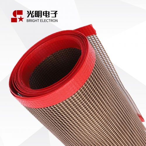 聚四氟乙烯網格輸送帶